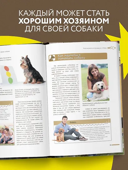 Дрессировка и воспитание собаки - фото 6