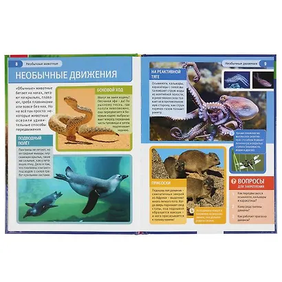 Необычные животные - фото 3