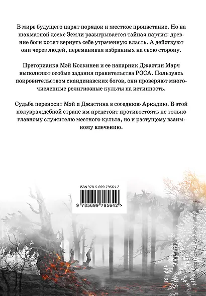 Гнев истинной валькирии - фото 2