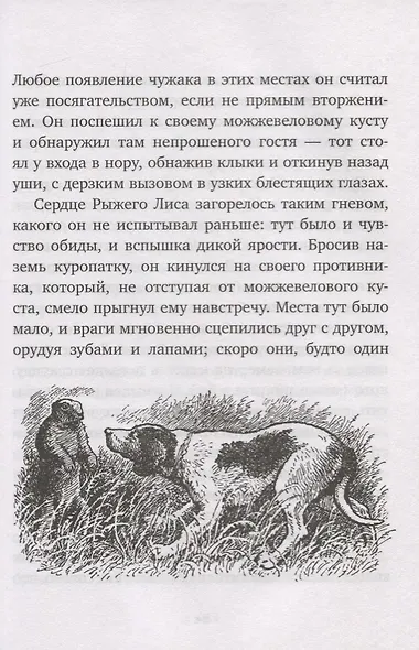 Рыжий Лис - фото 5