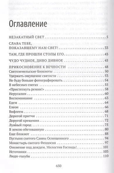 Стояние в молитве. Рассказы о Святой Земле, Афоне, Царьграде - фото 2