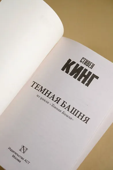 Темная Башня: из цикла "Темная Башня" - фото 7