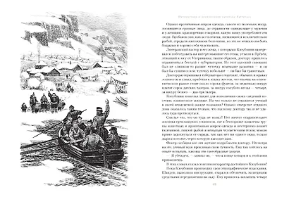 Путешествие и приключения капитана Гаттераса. Найденыш с погибшей "Цинтии" - фото 5