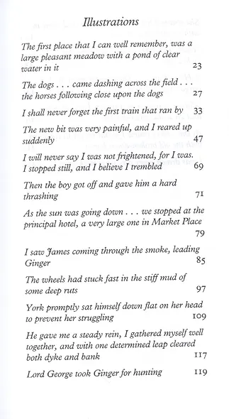 Black Beauty - фото 5