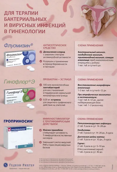 Топографическая лабиопластика. От теории к клинической практике - фото 2