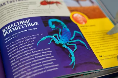 Britannica. Детская энциклопедия - фото 7