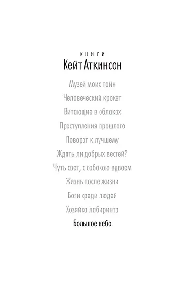 Большое небо - фото 4