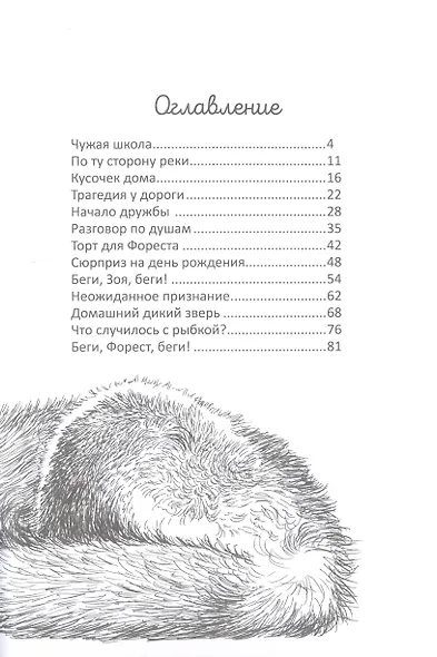 Бегущие по кромке леса - фото 2