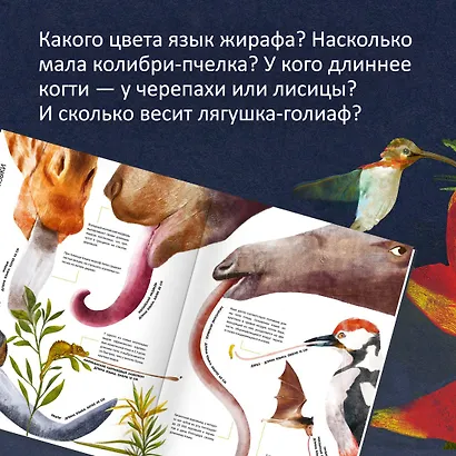 Самые удивительные животные в натуральную величину - фото 5