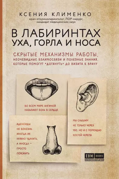 В лабиринтах уха, горла и носа. Скрытые механизмы работы, неочевидные взаимосвязи и полезные знания, которые помогут "дотянуть" до визита к врачу - фото 1