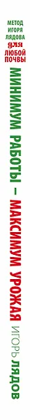 Минимум работы — максимум урожая! Метод Игоря Лядова для любой почвы - фото 4