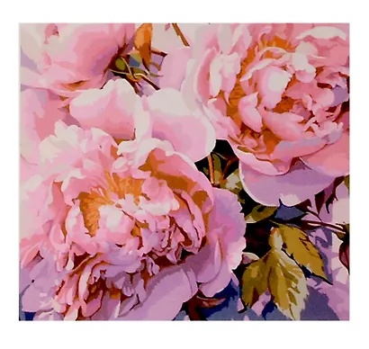 Холст с красками по номерам "Пёстрые пионы " 40х40 см, 30 цветов - фото 1