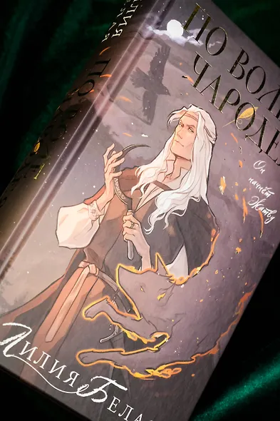 По воле чародея - фото 8