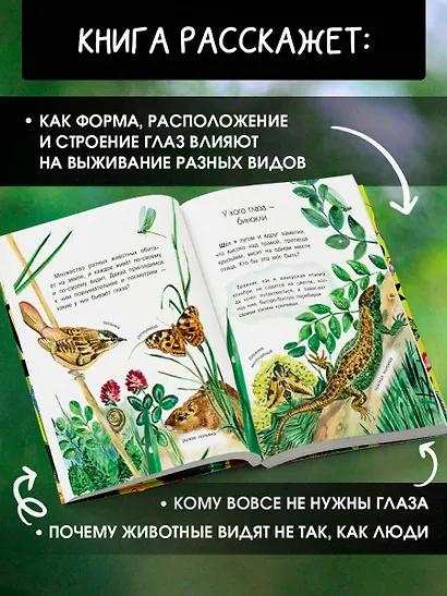 Кто как видит? - фото 5