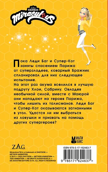 Леди Баг и Супер-Кот. Талисманка - фото 2