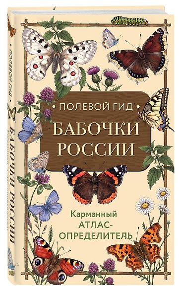 Полевой гид. Бабочки России. Карманный атлас-определитель - фото 3
