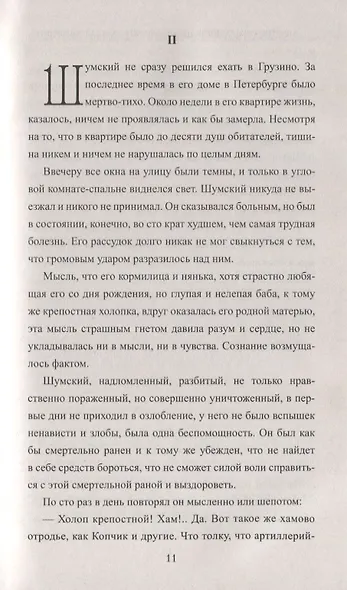 Аракчеевский подкидыш - фото 5