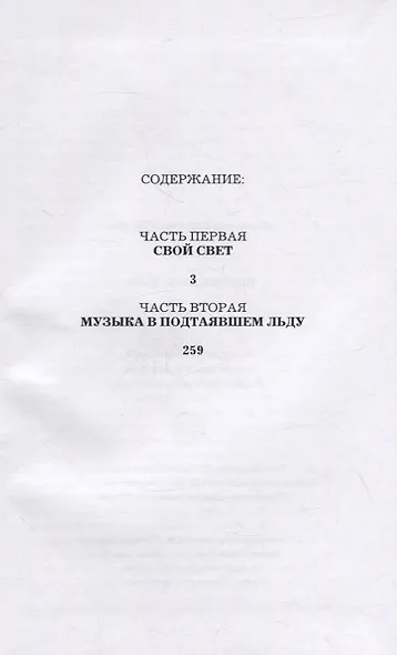Музыка в подтаявшем льду. Роман - фото 2