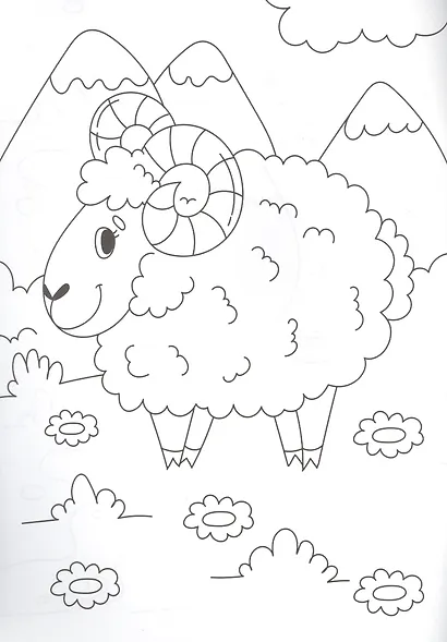 РАСКРАСКА А4 эконом. ДОМАШНИЕ ЖИВОТНЫЕ - фото 3