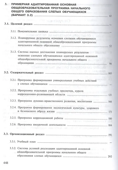 ПрАООП НОО слепых обучающихся (ФГОС ОВЗ) - фото 3