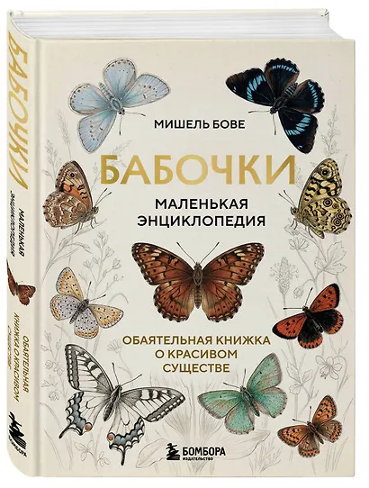 Бабочки! Маленькая энциклопедия. Обаятельная книжка о красивом существе - фото 3