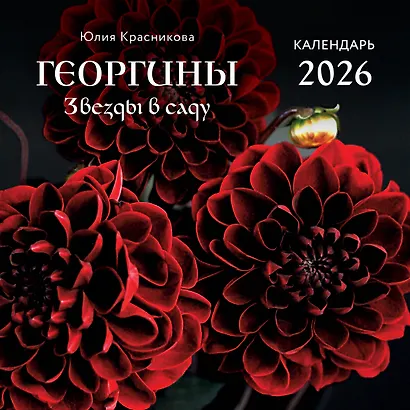 Георгины. Звезды в саду. Календарь настенный на 2026 год (300х300 мм) - фото 1