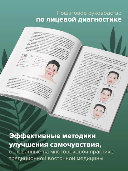 Чтение по лицу. Древняя китайская методика распознавания сигналов тела - фото 5