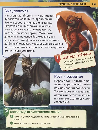 Драконы. Энциклопедия с развивающими заданиями - фото 5