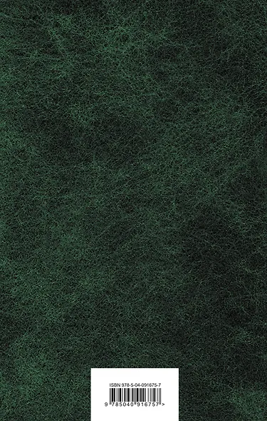 Алиса в Стране чудес и в Зазеркалье - фото 2