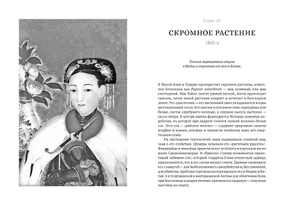 Шелк. Серебро. Порох. Торговля с Китаем, которая изменила историю - фото 14