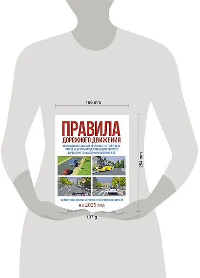 Правила дорожного движения на 2025 год. Действующая таблица штрафов и ответственность водителя - фото 5
