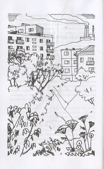 Брат, которому семь - фото 3