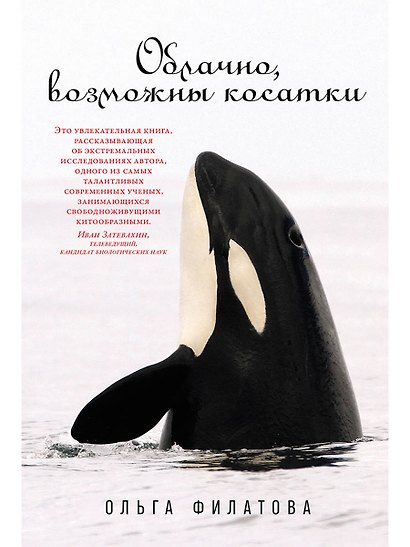 Облачно, возможны косатки - фото 1