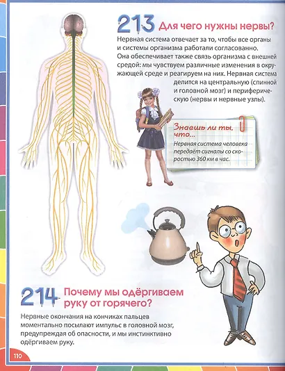 Большая энциклопедия для детей в вопросах и ответах - фото 8