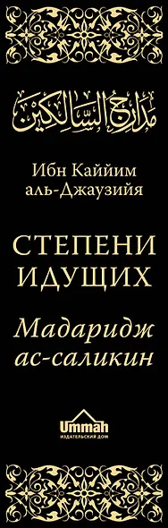Мадаридж. Степени идущих - фото 5