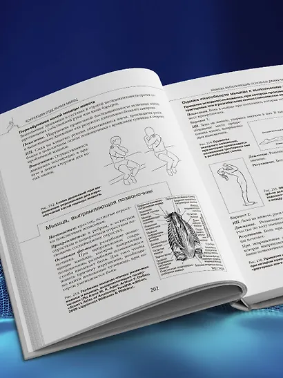 Прикладная кинезиология. Восстановление тонуса и функций скелетных мышц - фото 10