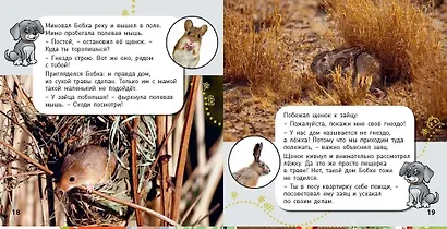 Комплект "Окошко в мир" (комплект из 5 книг) - фото 4