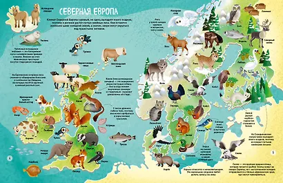 Мир животных в картинках - фото 7