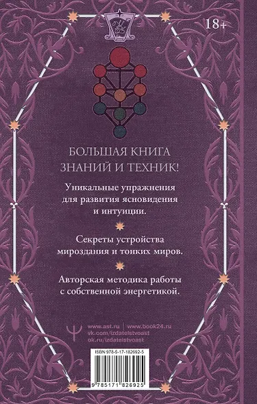 Книга силы: развитие ясновидения и интуиции. Полное собрание техник и практик - фото 2