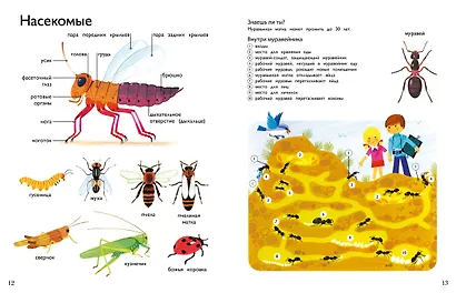 Моя первая энциклопедия в картинках - фото 6