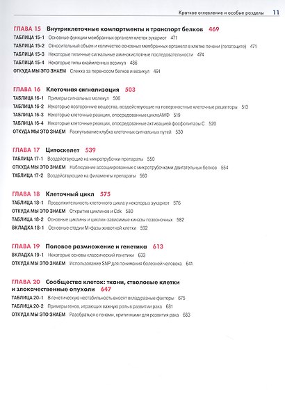 Основы молекулярной биологии клетки - фото 5