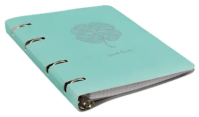 Тетрадь на кольцах Listoff, "ColourMania. Дизайн 21", А5, 100 листов - фото 2