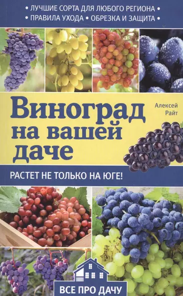 Виноград на вашей даче. Растет не только на юге! - фото 1