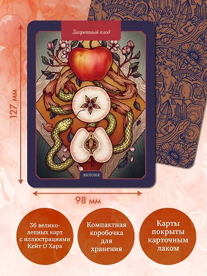 Магический гербарий. 36 карт с посланиями от волшебных растений (Оракул. 36 карт и руководство в коробке) - фото 5