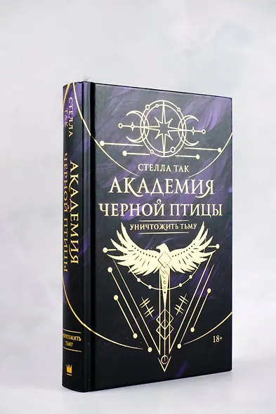 Академия Черной птицы. Уничтожить тьму - фото 4