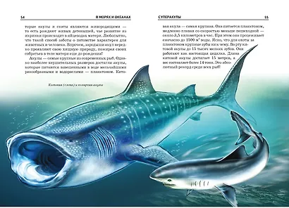 В морях и океанах. - фото 4