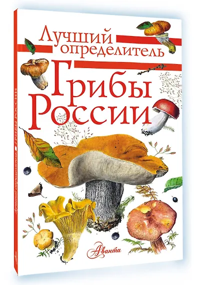 Грибы России. Определитель - фото 3