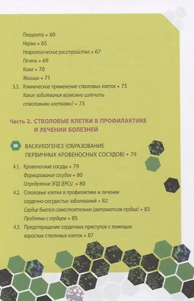 Стволовые клетки, спасибо! Секрет здоровья до 100 лет - взрослые стволовые клетки - фото 3
