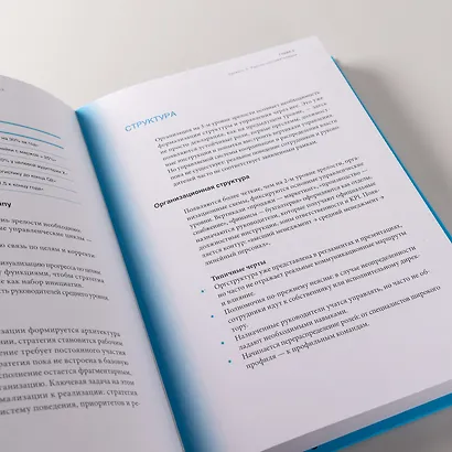 Организационная зрелость и управление кризисами: Как компания становится системой - фото 10