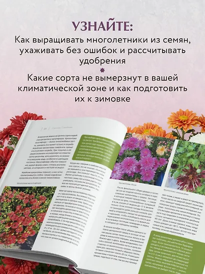 Цветущий сад из многолетников. Как создать цветники, которые будут радовать год за годом - фото 7